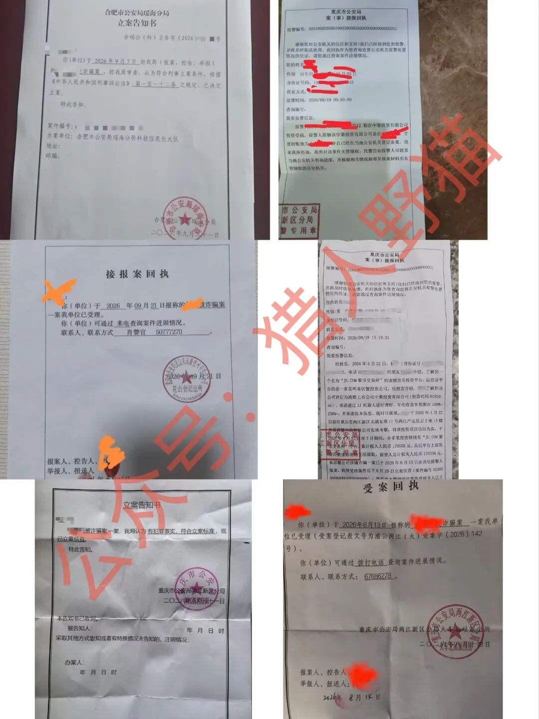 原文相关图片2